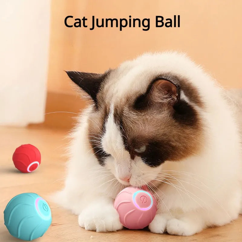 CAT JUMPING BALL