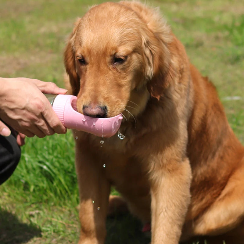 2-IN-1 PORTABLE DOG CAT WATER BOTTLE